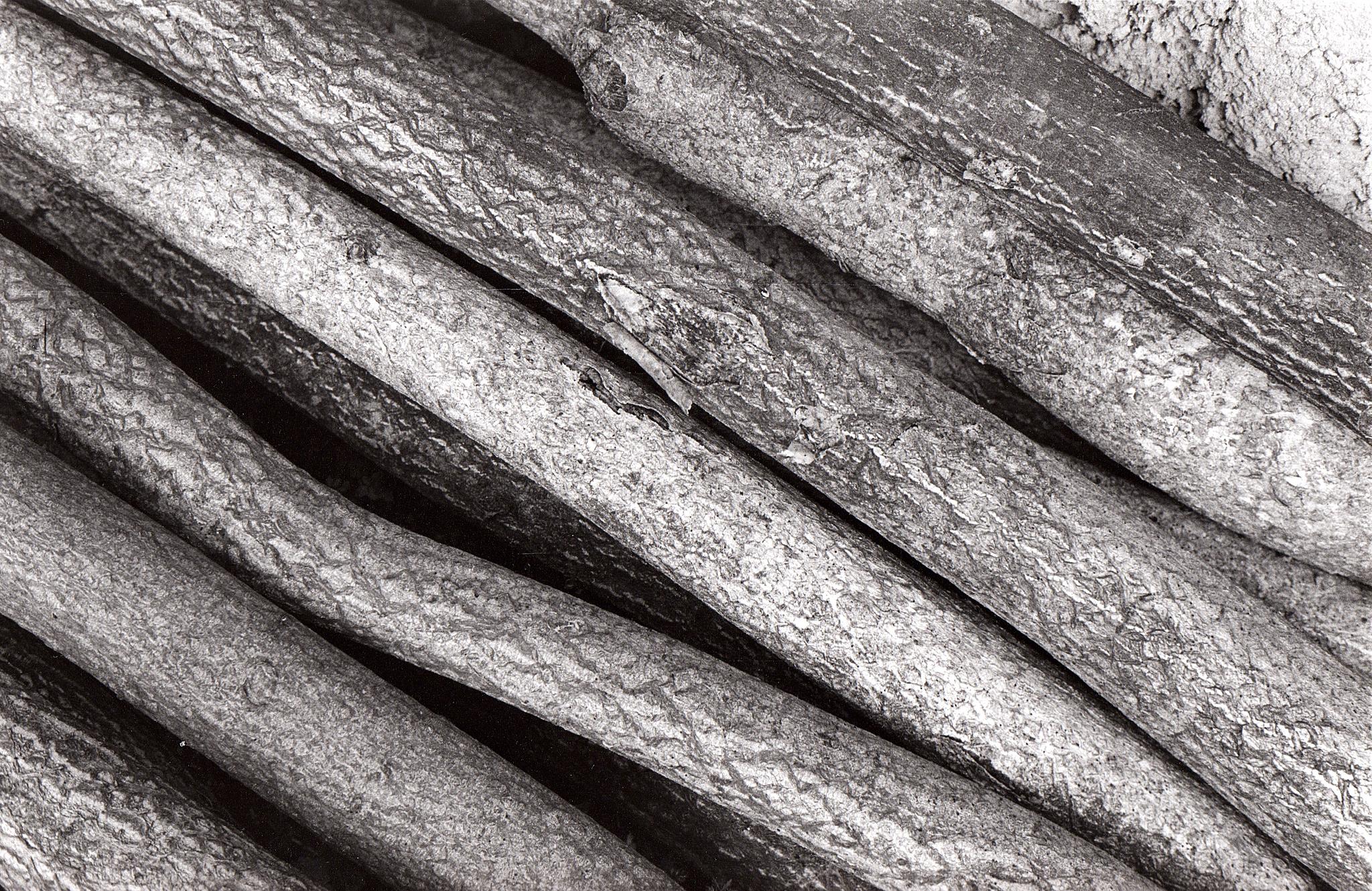 wood